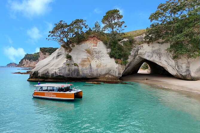 Cathedral Cove Coast and Cave Activity - What makes this cruise worth your time