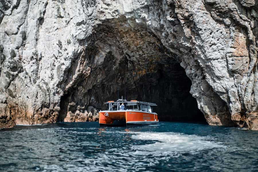 Cathedral Cove Coast and Cave Tour - Setting Out From Whitianga Marina