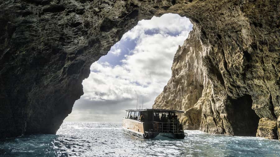 Cathedral Cove Coast and Cave Tour - Is $83 Good Value for 150 Minutes?