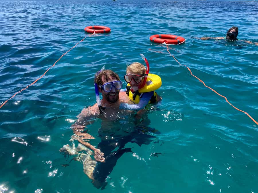 Cathedral Cove Coast and Cave Tour - Who Should Book This Coast Tour?
