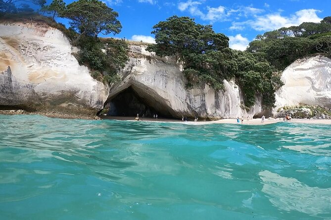 Cathedral Cove & Coromandel Peninsula Small-Group Day Tours - Five details that shape the day