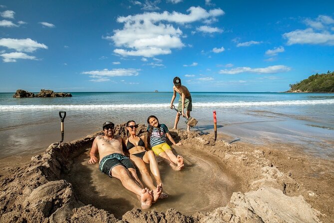 Cathedral Cove & Coromandel Peninsula Small-Group Day Tours - What the $164.45 price really buys