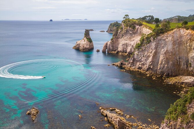 Cathedral Cove & Coromandel, Small-Group Tour from Auckland - Through Waikato country after a 6:30 am start