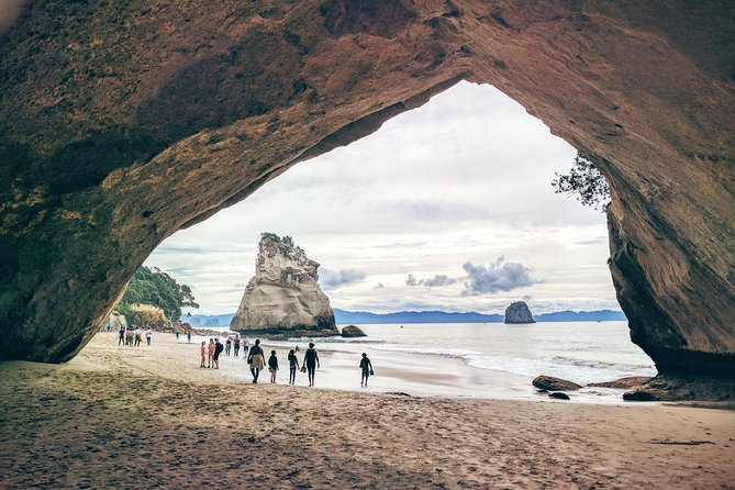 Cathedral Cove Day Trip from Auckland - The 8:00 am start and the road to Coromandel