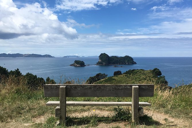 Cathedral Cove Day Trip from Auckland - The 30-minute walk to Cathedral Cove
