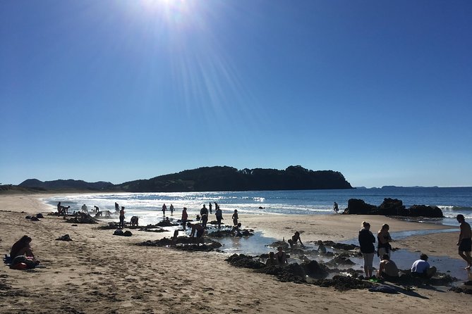 Cathedral Cove Day Trip from Auckland - Weather, clothing, and practical comfort