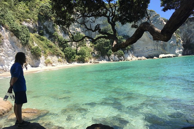 Cathedral Cove Day Trip from Auckland - Hot Water Beach: a quick taste of natural heat