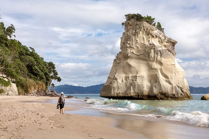 Cathedral Cove & Hot water beach -Full Day Tour: PRIVATE TOUR - Cathedral Cove and its famous rock arch