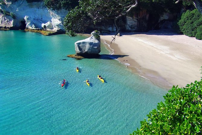 Cathedral Cove Kayak Tour - Paddling through the marine reserve