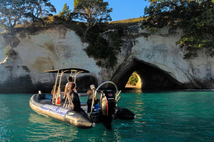 Cathedral Cove Marine Reserve: Snorkeling Boat Trip - Key Points Before You Book