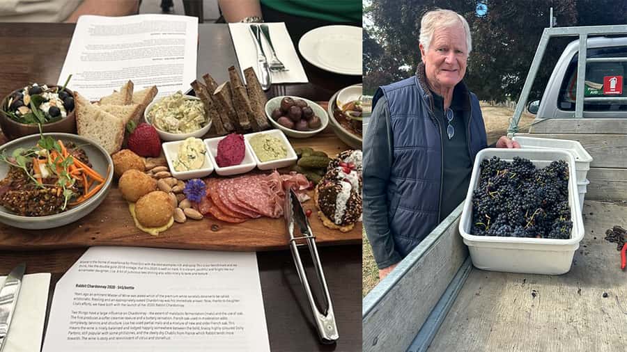 Chefs Private Martinborough wine tour with Gourmet Lunch - Why Martinborough became a wine name