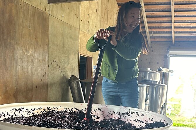 Chefs Private Martinborough Wine Tour with lunch from Wellington - Five things to know before you book