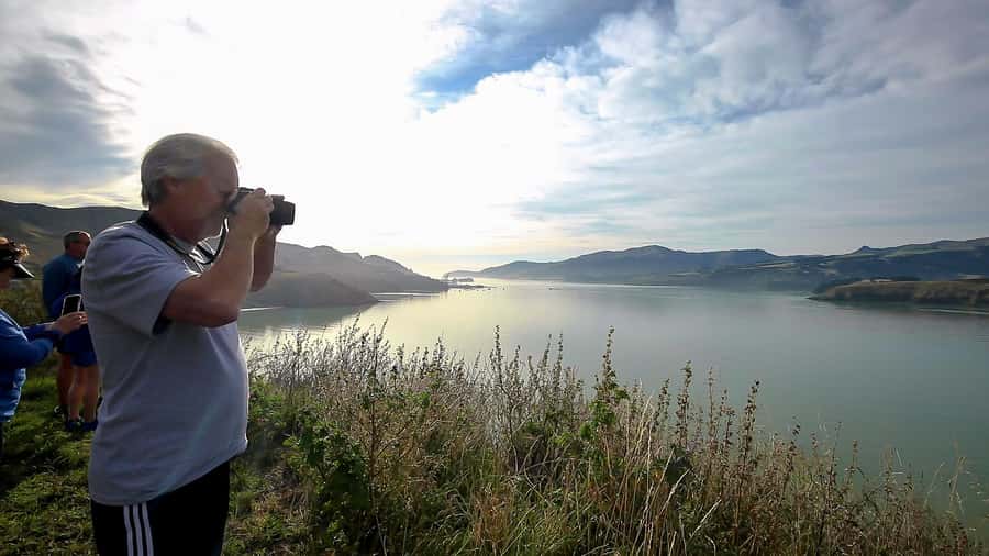 Christchurch: 1/2-Day Scenic Highlights Small Group Tour - Evans Pass and the Antarctic connection