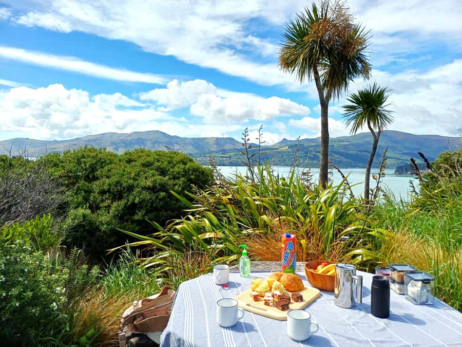 Christchurch: 1/2-Day Scenic Highlights Small Group Tour - From Christchurch to the Sign of the Takahe