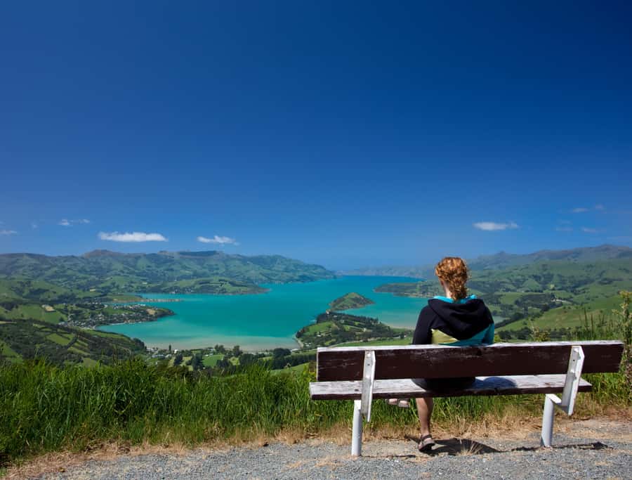 Christchurch: Akaroa and Banks Peninsula Day Trip - Key things to know before you book
