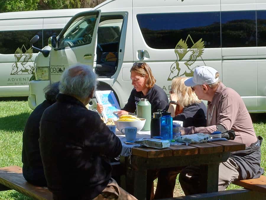 Christchurch: Akaroa and Banks Peninsula Day Trip - Why Banks Peninsula makes a fine day outside Christchurch