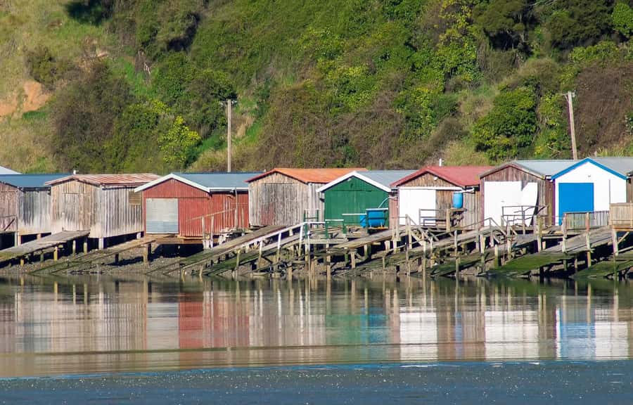 Christchurch: Akaroa and Banks Peninsula Day Trip - What the $328 price really covers