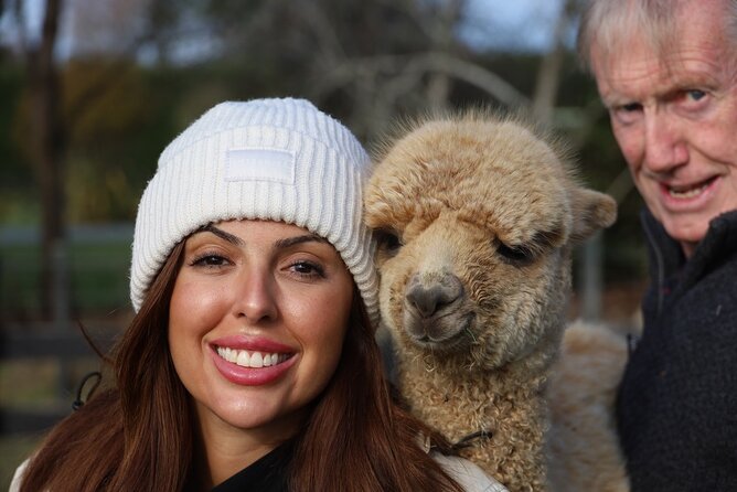 Christchurch Alpaca Farm Tour From Kaiapoi - Why this alpaca farm is worth the short trip from Christchurch