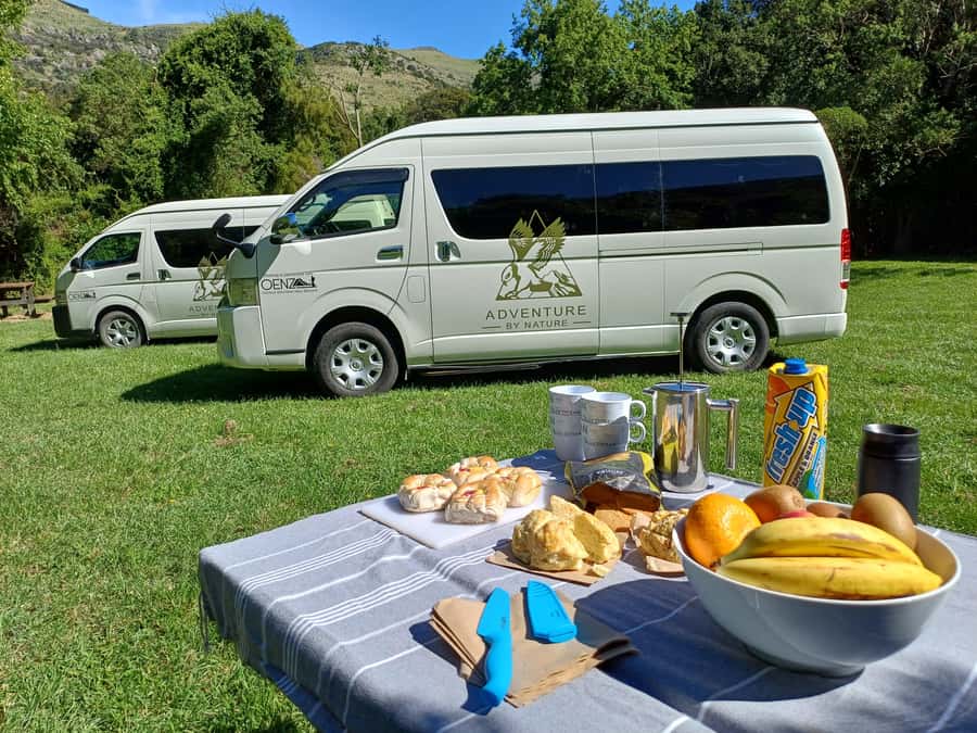 Christchurch: Arthur's Pass & Castle Hill Scenic Day Tour - The optional TranzAlpine train upgrade