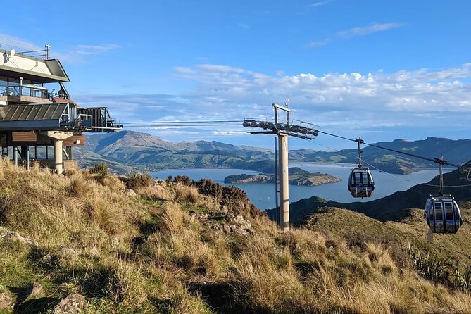 Christchurch City Full Day Tour - Why this tour works for a first day in Christchurch