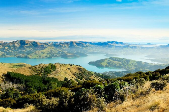 Christchurch City Highlights Half Day Tour - Fifty minutes in the Garden City