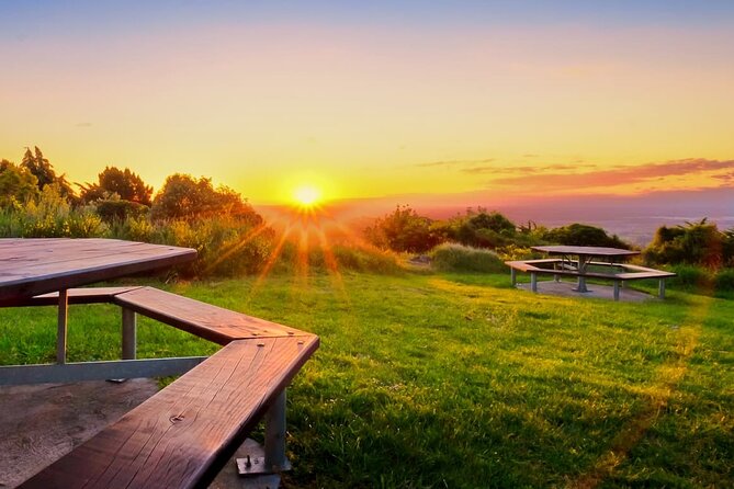 Christchurch City Highlights Half Day Tour - Who should book this Christchurch outing?
