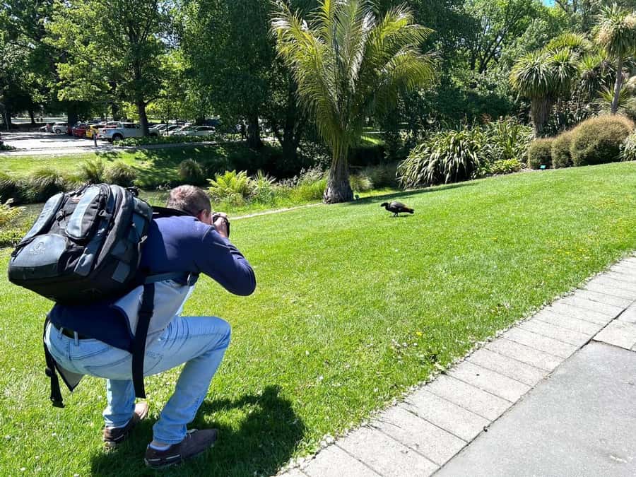 Christchurch City Top Spots Half Day Tour(Small Group Tour) - The strengths and limits of a small-group city tour