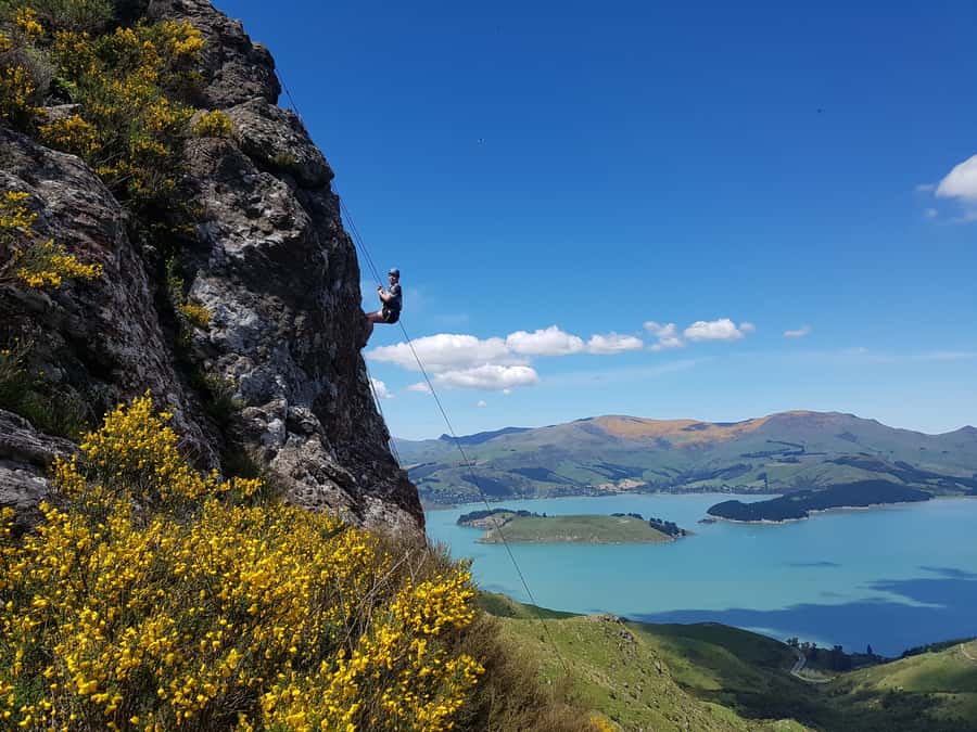 Christchurch: Full or Half-Day Rock Climbing Tour with Guide - How the climbing session builds confidence