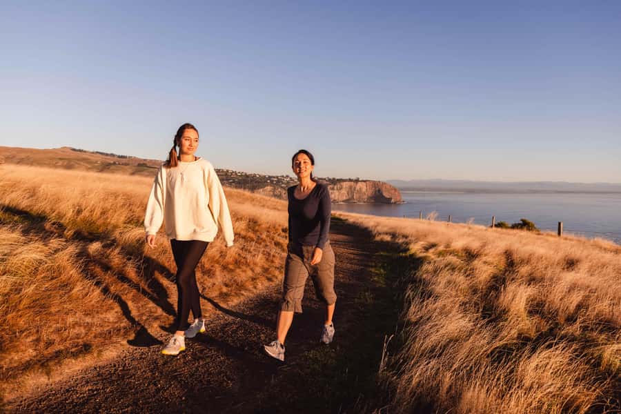 Christchurch: Godley Head & Lyttelton Guided Walking Tour - Five Details That Make This Tour Worth Considering