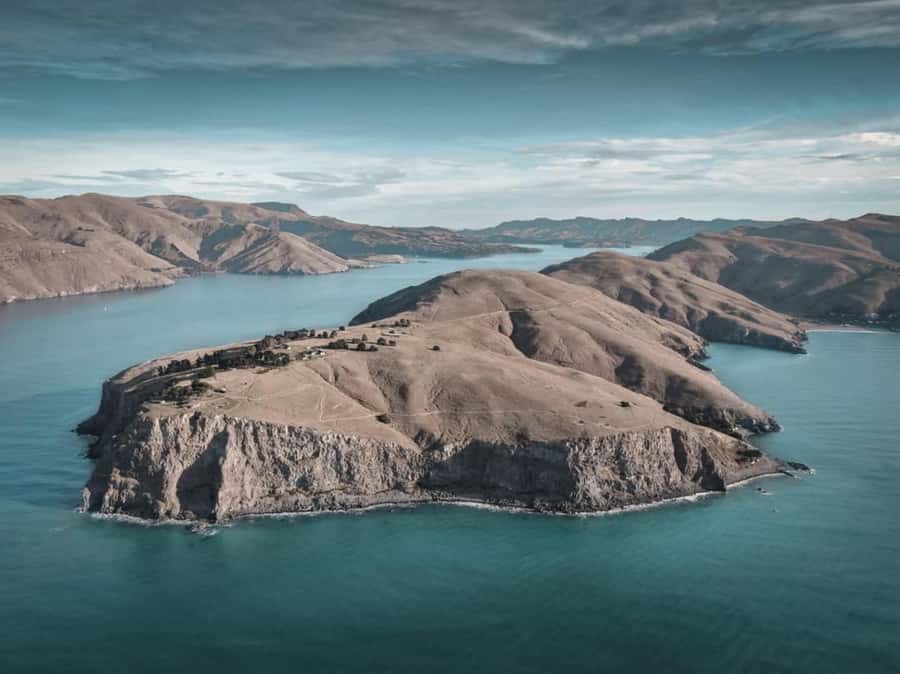 Christchurch: Godley Head & Lyttelton Guided Walking Tour - What to Bring for a Comfortable Day
