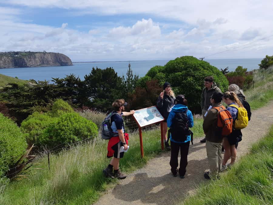 Christchurch: Godley Head & Lyttelton Guided Walking Tour - Taylors Mistake to Godley Head