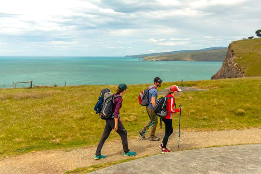 Christchurch: Godley Head & Lyttelton Guided Walking Tour - Evans Pass and the Road to Sumner Beach