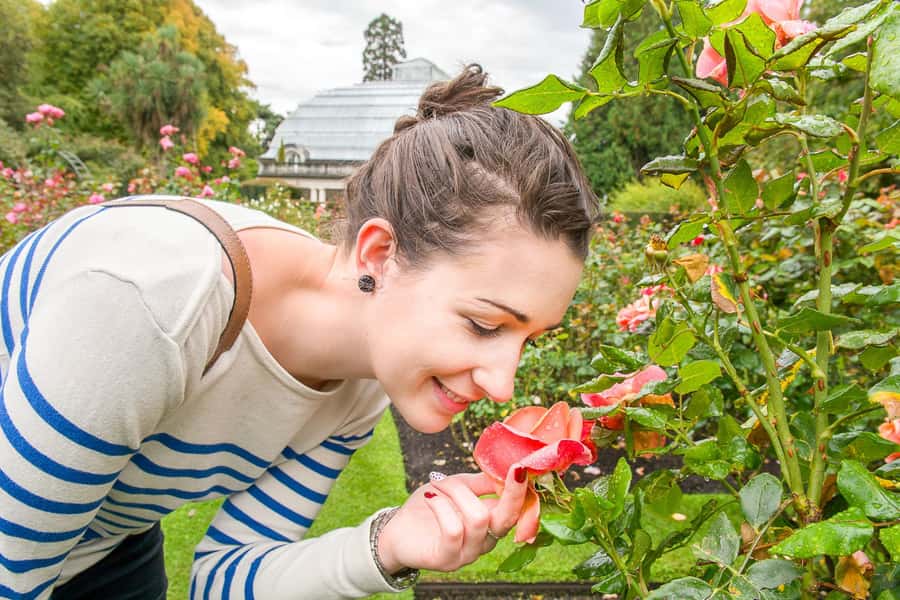 Christchurch Gondola and Tram City Tour Combo - Timing the day around weather and crowds