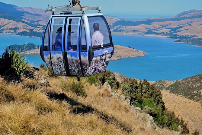 Christchurch Gondola Ride Ticket - What makes this Christchurch outing worth your time