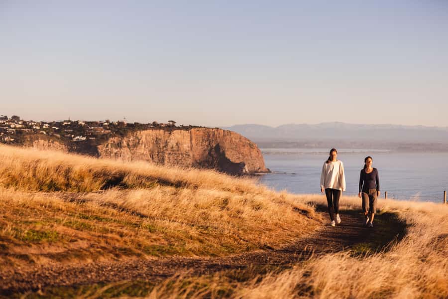 Christchurch: Guided Crater Rim Walk with Coastal Scenery - Why Godley Head Makes a Better Day Out Than a City Viewpoint