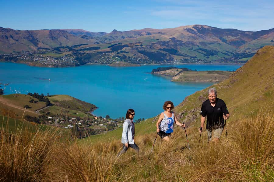 Christchurch: Guided Crater Rim Walk with Coastal Scenery - Who Should Book the Walk?