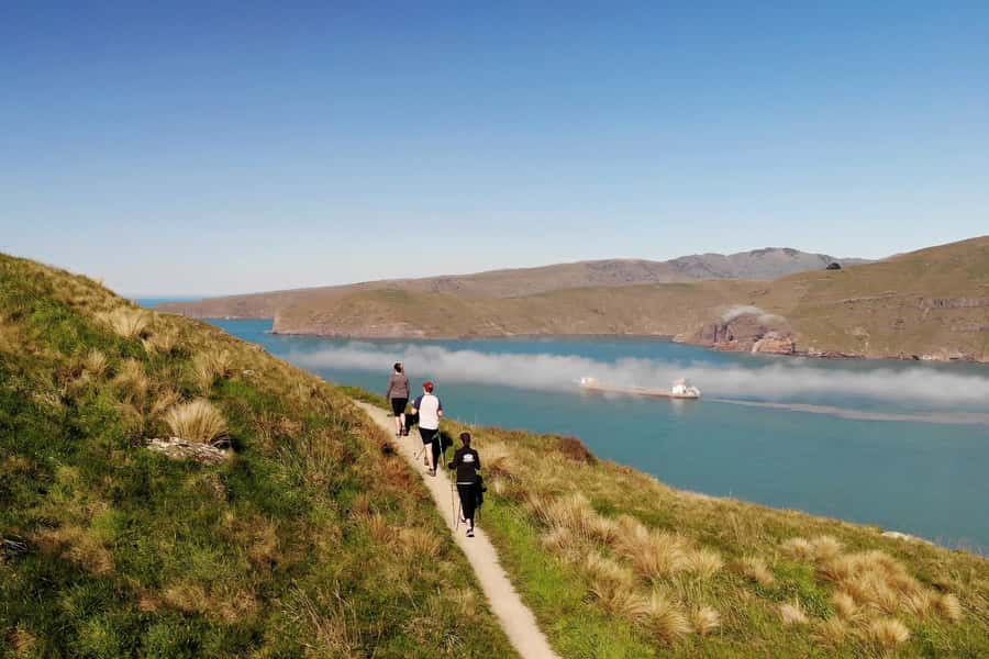 Christchurch: Guided Crater Rim Walk with Coastal Scenery - From Christchurch or Lyttelton to Sumner Beach