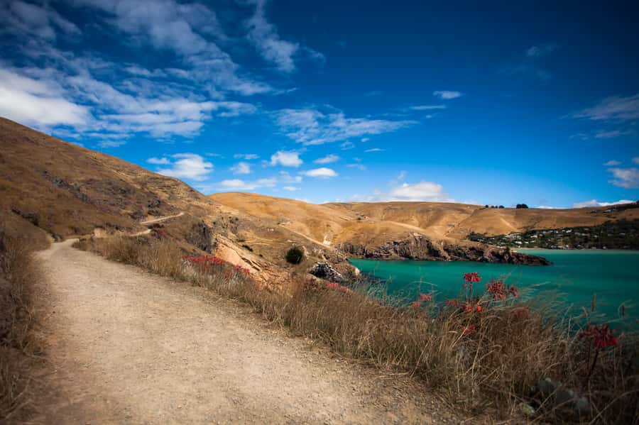 Christchurch: Guided Crater Rim Walk with Coastal Scenery - What the $140 Price Actually Covers