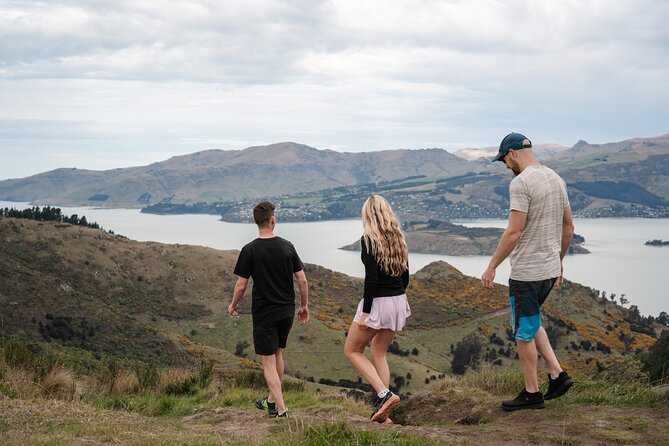 Christchurch Highlights Tour (Full Day Private) - Why this private Christchurch tour works well