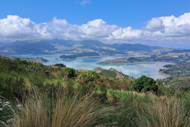 Christchurch Highlights Tour (Full Day Private) - Lyttelton Harbour begins the story