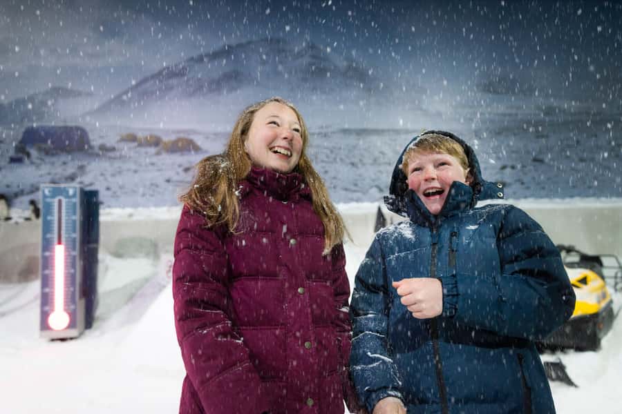 Christchurch International Antarctic Centre Entry Tickets - Little Blue Penguins are the gentlest highlight