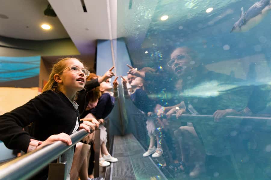 Christchurch International Antarctic Centre Entry Tickets - Antarctica 101 rewards slow readers