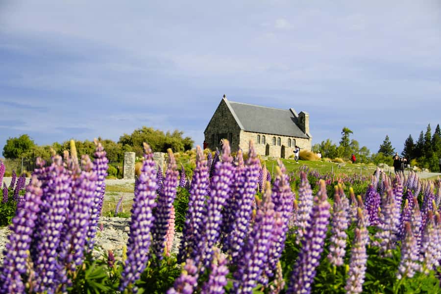 Christchurch: Lake Tekapo Stargazing & Mount Cook 2-Day Tour - Key points to know before booking