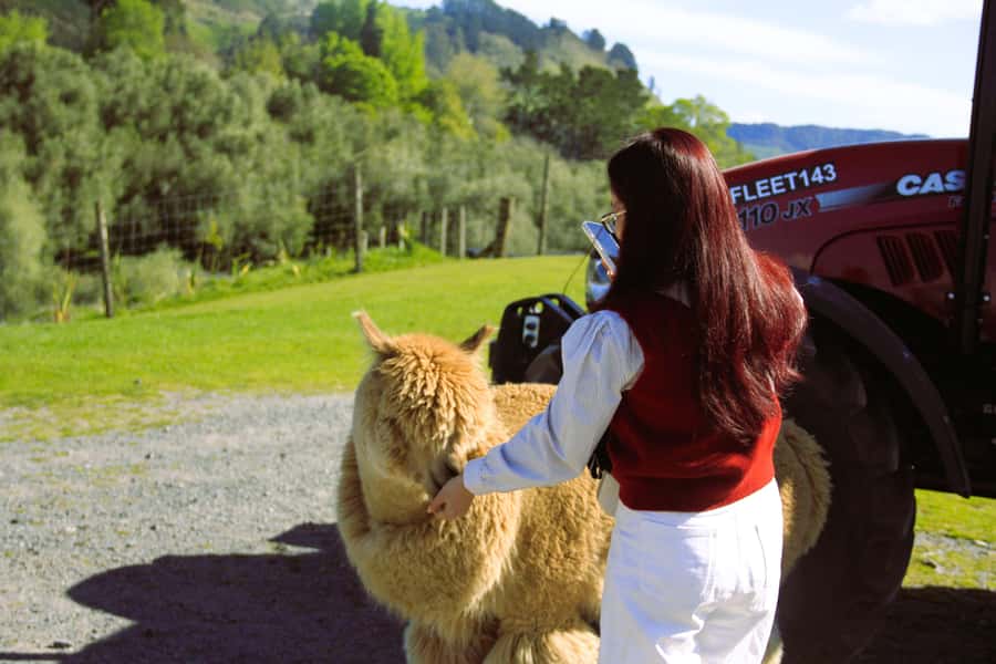 Christchurch: Lake Tekapo Stargazing & Mount Cook 2-Day Tour - Why this two-day route works from Christchurch