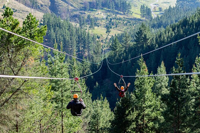 Christchurch Long Ride Zipline - Key points to know before you book