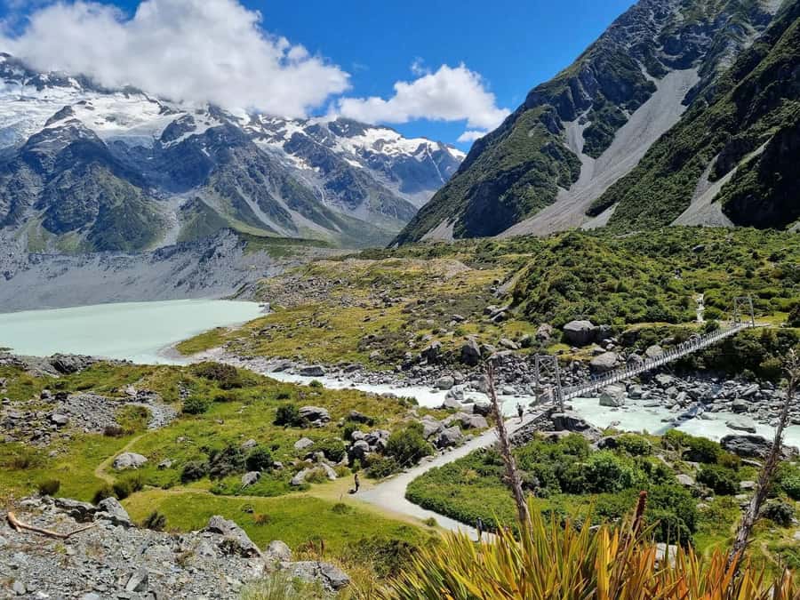 Christchurch: Mt Cook Full-Day Private Tour via Lake Tekapo - Key points to know before booking