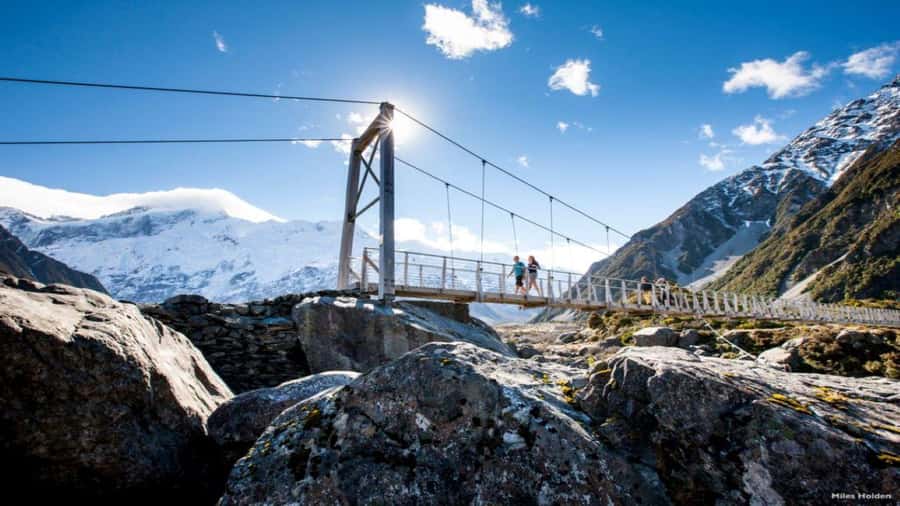 Christchurch: Mt Cook & Tekapo Small-Group Tour (incl Lunch) - Key Things To Know Before Booking