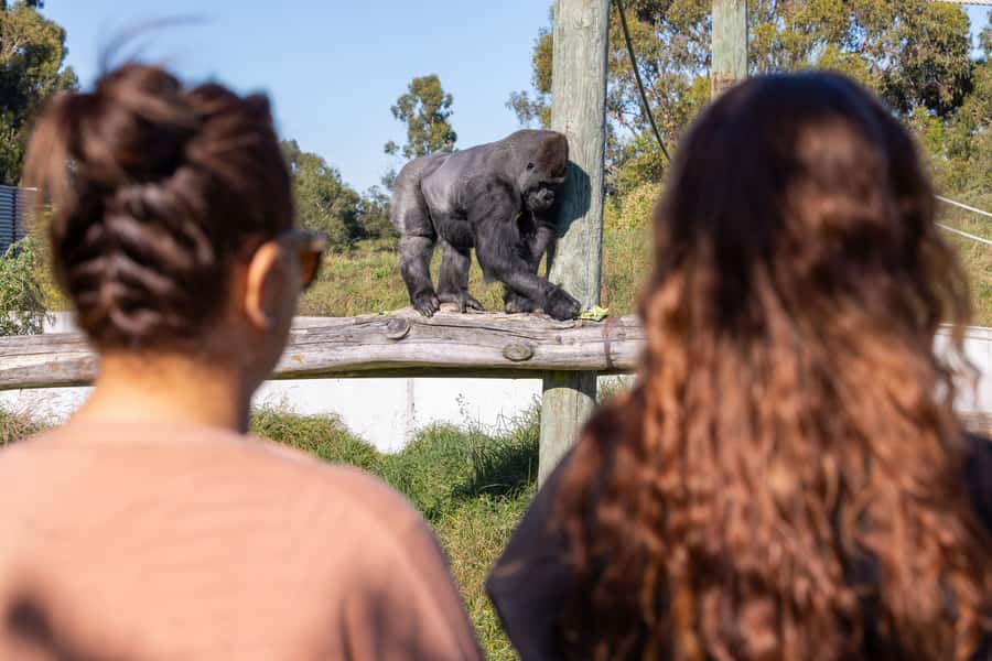 Christchurch: Orana Wildlife Park Admission - Why Orana works as a Christchurch day out