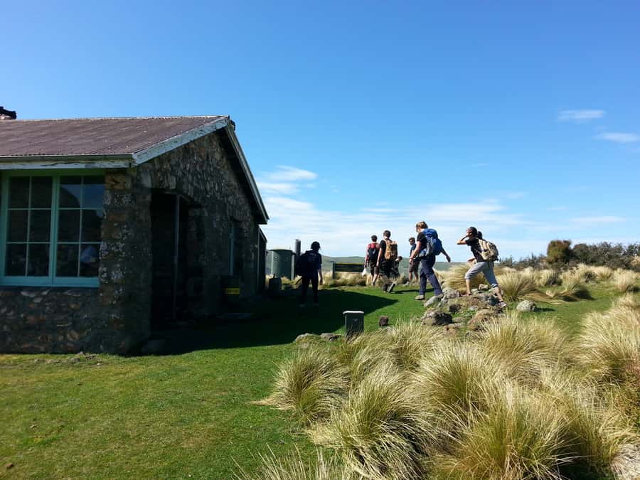 Christchurch: Packhorse Hut Guided Walk and Scenic Drive - The Gebbies Pass to Packhorse Hut walk
