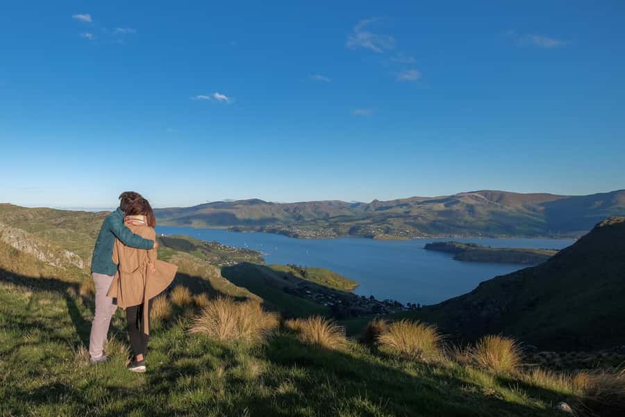 Christchurch: Packhorse Hut Guided Walk and Scenic Drive - Lunch above Lyttelton Harbour